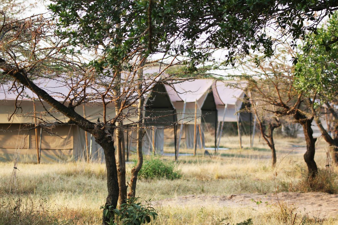 Hotel Olengoti Eco Safari Camp Talek Zewnętrze zdjęcie